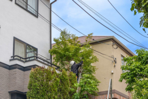 隣地越境物があるケースとは?トラブルを避けて売却する方法も紹介